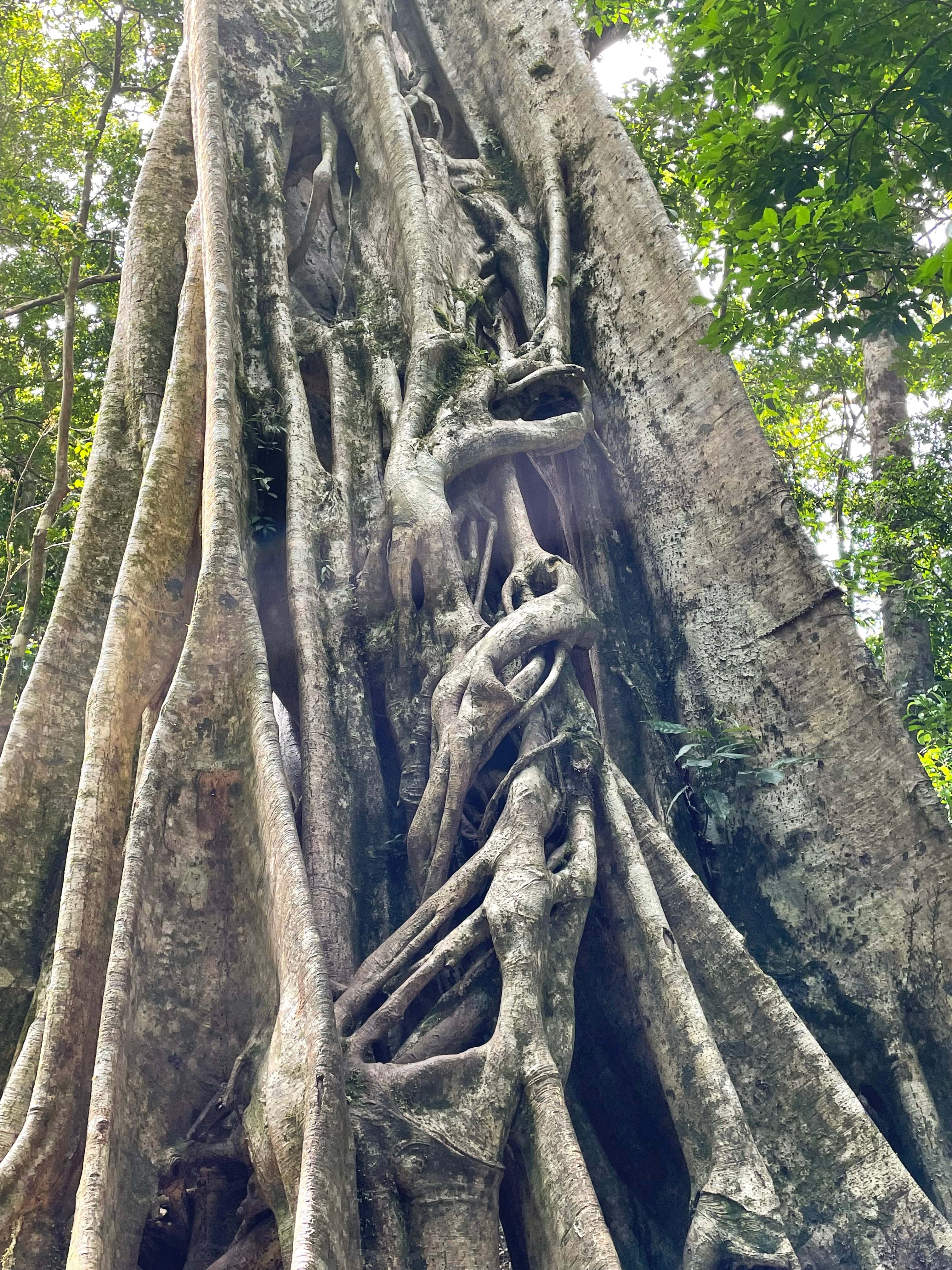 Costa Rica
